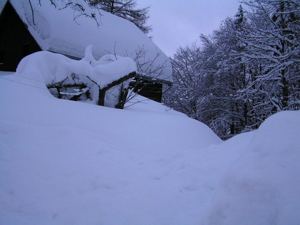 Na Slunecni Pohadkova Chaloupka Ve Sladke Dire Пршиховице Экстерьер фото